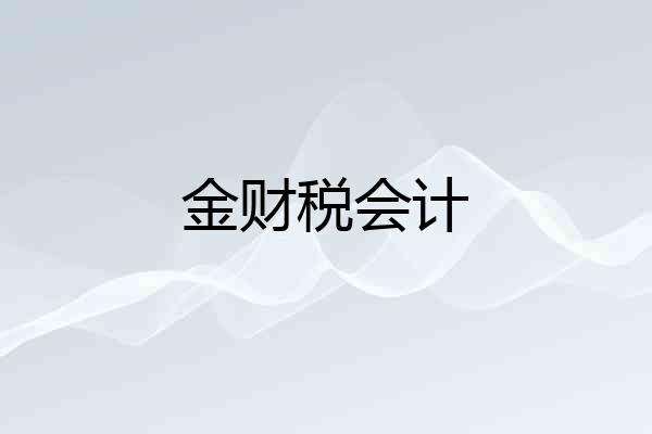金财税会计