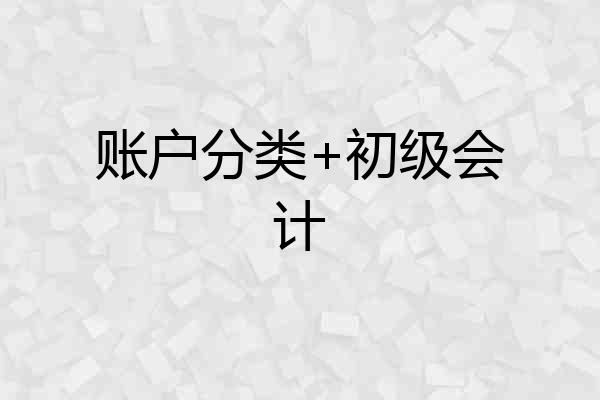 账户分类+初级会计