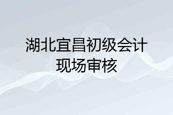 湖北宜昌初级会计现场审核
