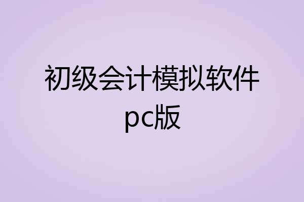 初级会计模拟软件pc版