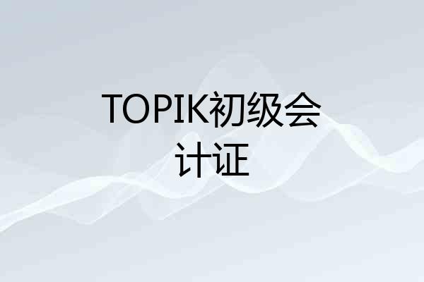 TOPIK初级会计证