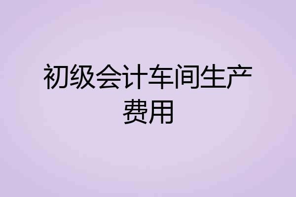 初级会计车间生产费用