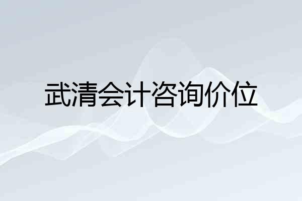 武清会计咨询价位