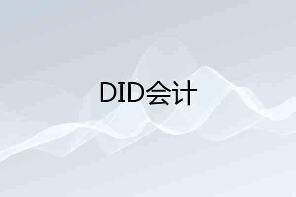 DID会计