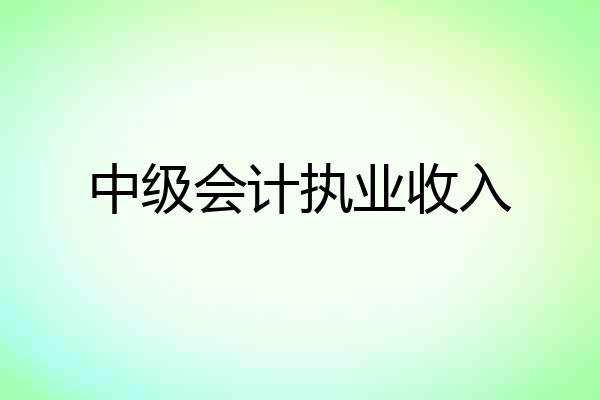 中级会计执业收入