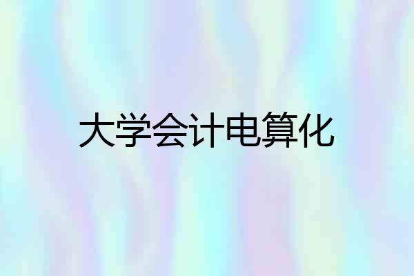 大学会计电算化
