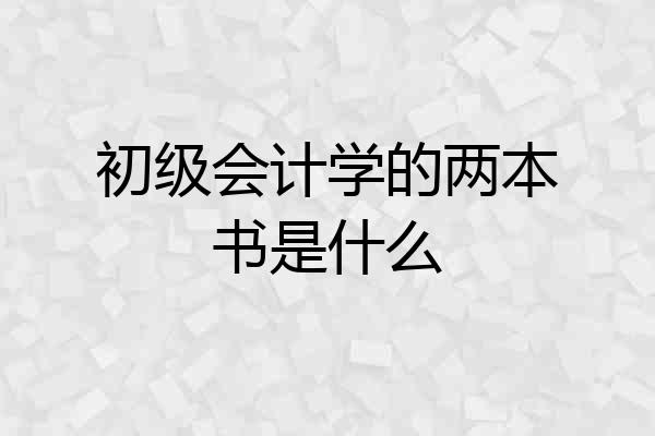 初级会计学的两本书是什么