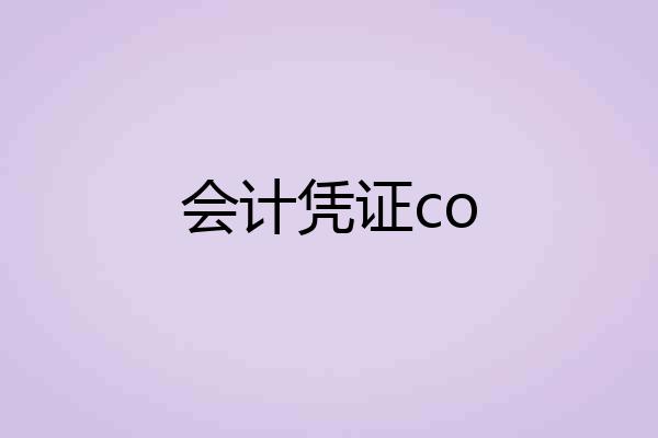 会计凭证co