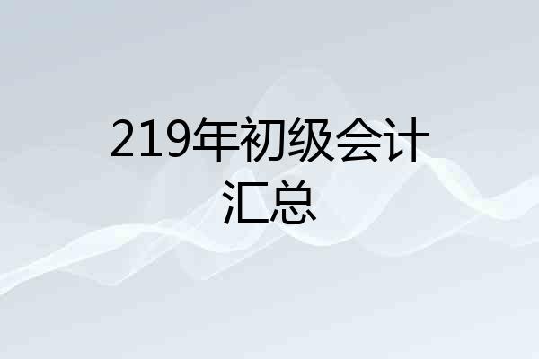 219年初级会计汇总
