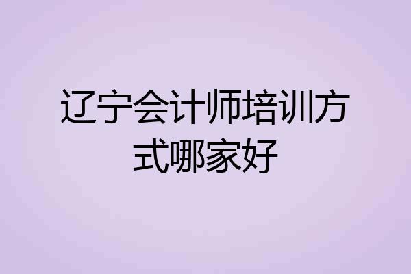 辽宁会计师培训方式哪家好