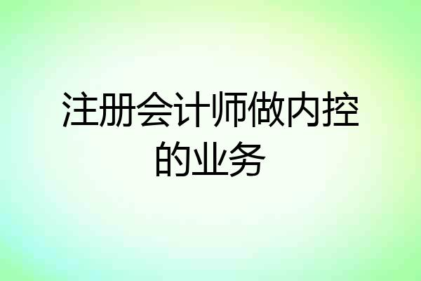 注册会计师做内控的业务