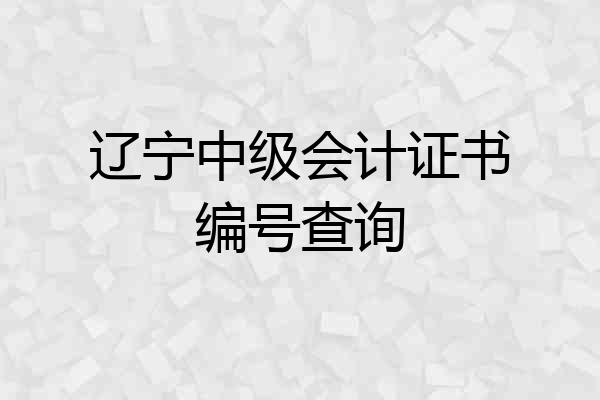 辽宁中级会计证书编号查询