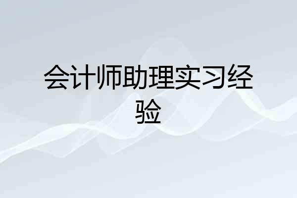 会计师助理实习经验