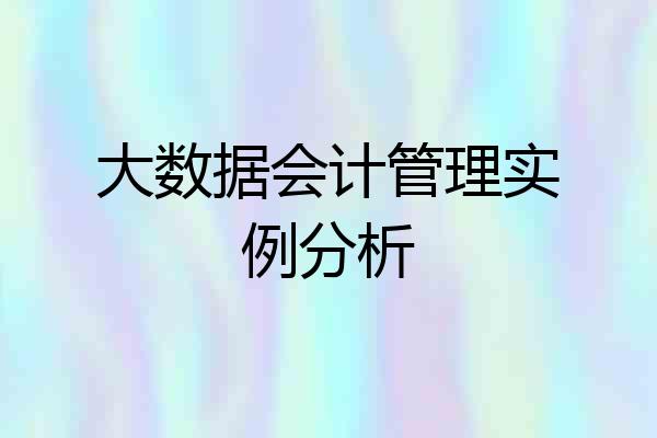 大数据会计管理实例分析