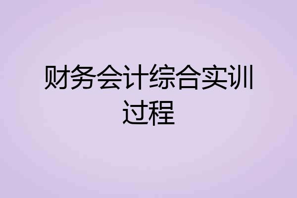 财务会计综合实训过程