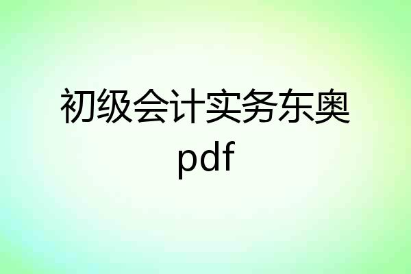 初级会计实务东奥pdf