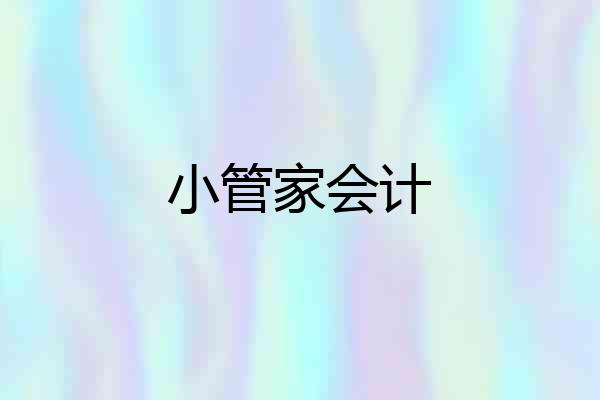 小管家会计