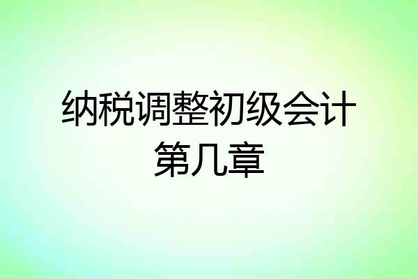 纳税调整初级会计第几章