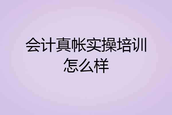 会计真帐实操培训怎么样