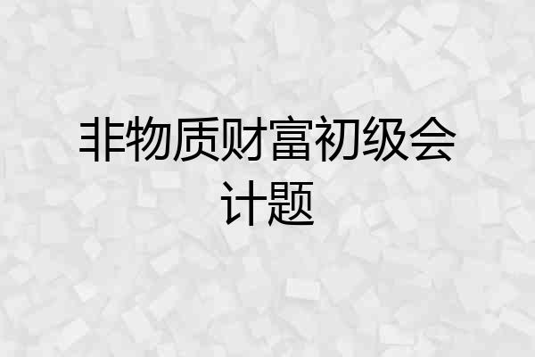 非物质财富初级会计题