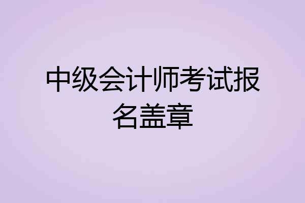 中级会计师考试报名盖章