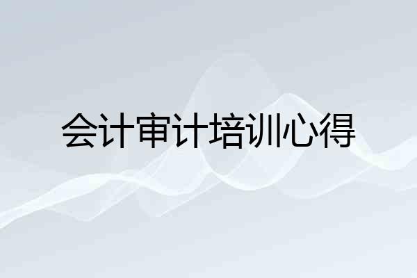 会计审计培训心得