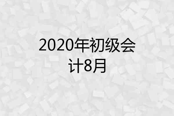 2020年初级会计8月