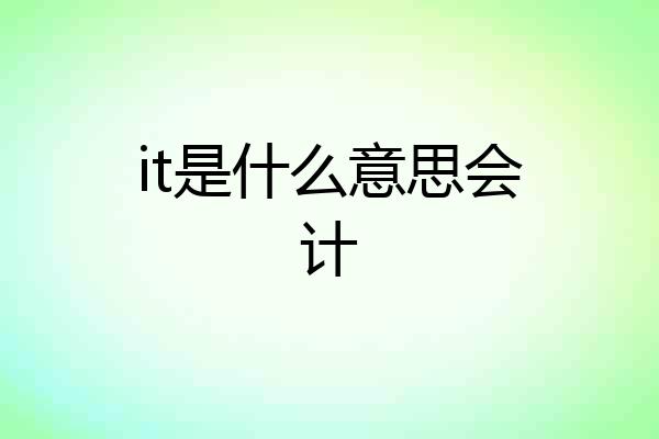 it是什么意思会计