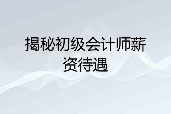 揭秘初级会计师薪资待遇