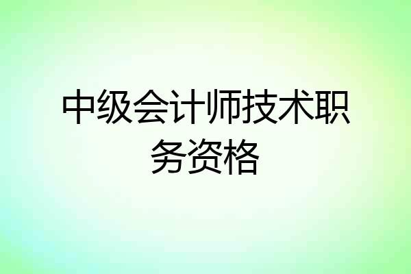 中级会计师技术职务资格