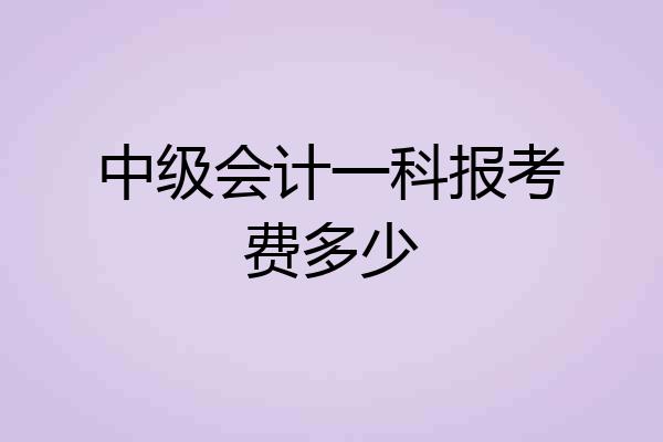 中级会计一科报考费多少