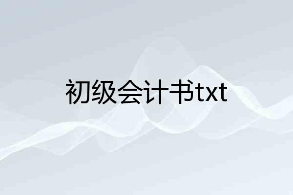 初级会计书txt