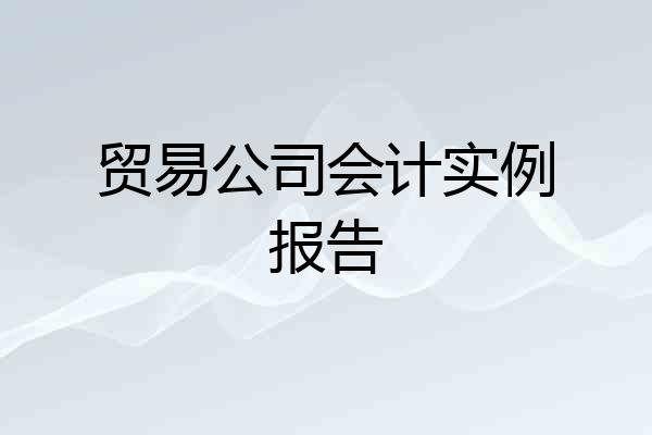 贸易公司会计实例报告
