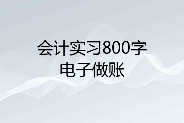 会计实习800字电子做账