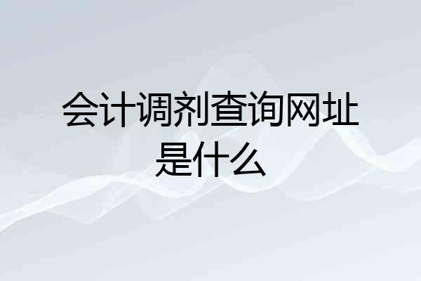 会计调剂查询网址是什么