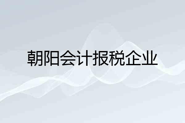 朝阳会计报税企业