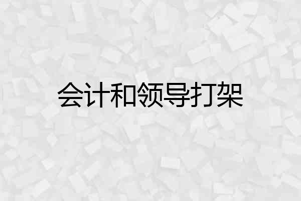 会计和领导打架