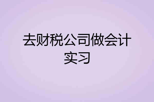 去财税公司做会计实习