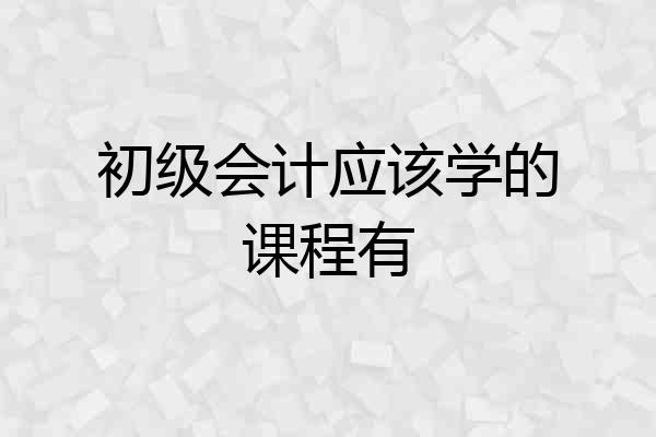 初级会计应该学的课程有