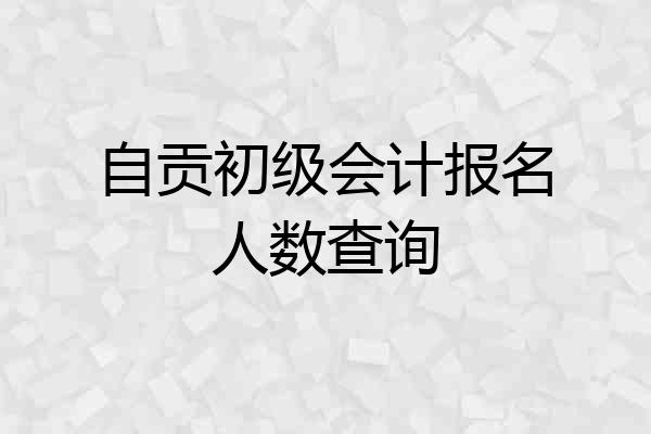 自贡初级会计报名人数查询