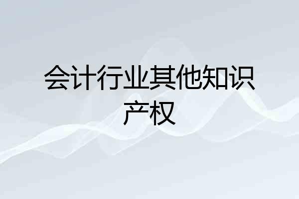 会计行业其他知识产权