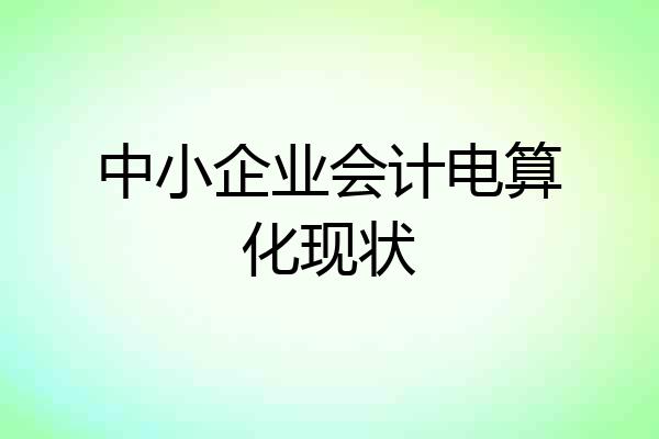 中小企业会计电算化现状