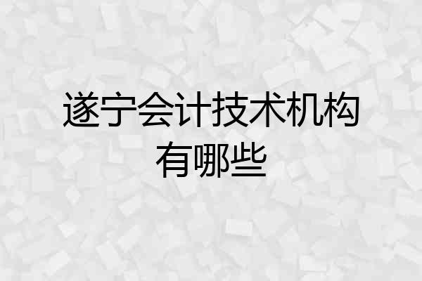 遂宁会计技术机构有哪些