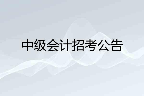 中级会计招考公告