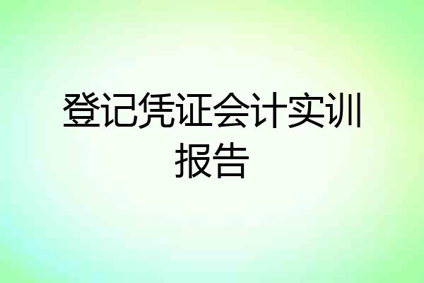 登记凭证会计实训报告
