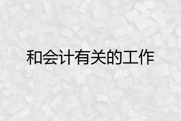 和会计有关的工作