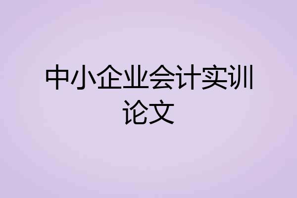 中小企业会计实训论文