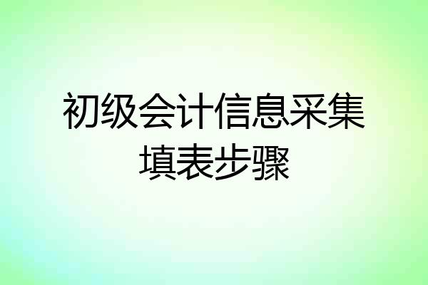 初级会计信息采集填表步骤