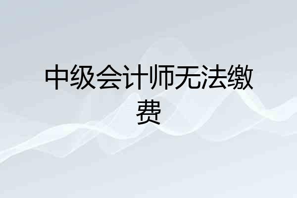 中级会计师无法缴费