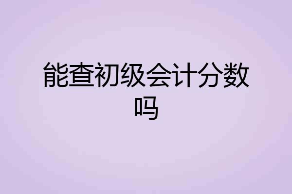 能查初级会计分数吗